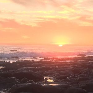 Meet your Posher, Gia